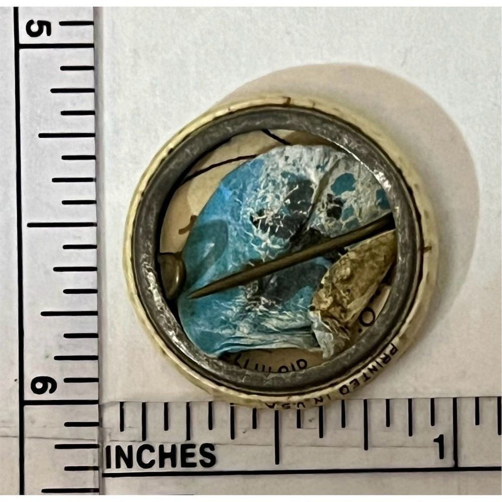 Audubon Society Robin Animal Theme Pinback Button