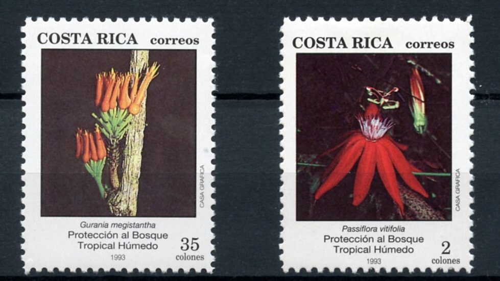 COSTA RICA-RAIN FOREST   ES120