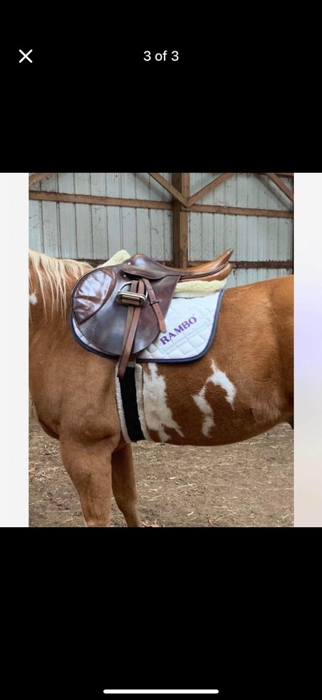 18.5” County English Saddle