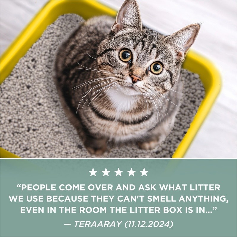 Unscented Cat Litter Clumping Low Dust Odor Control Activated Charcoal Multi Cat