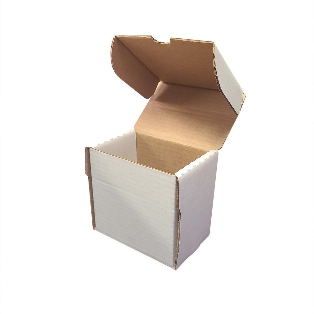 2 BCW Semi-Rigid #1 5" Storage Boxes