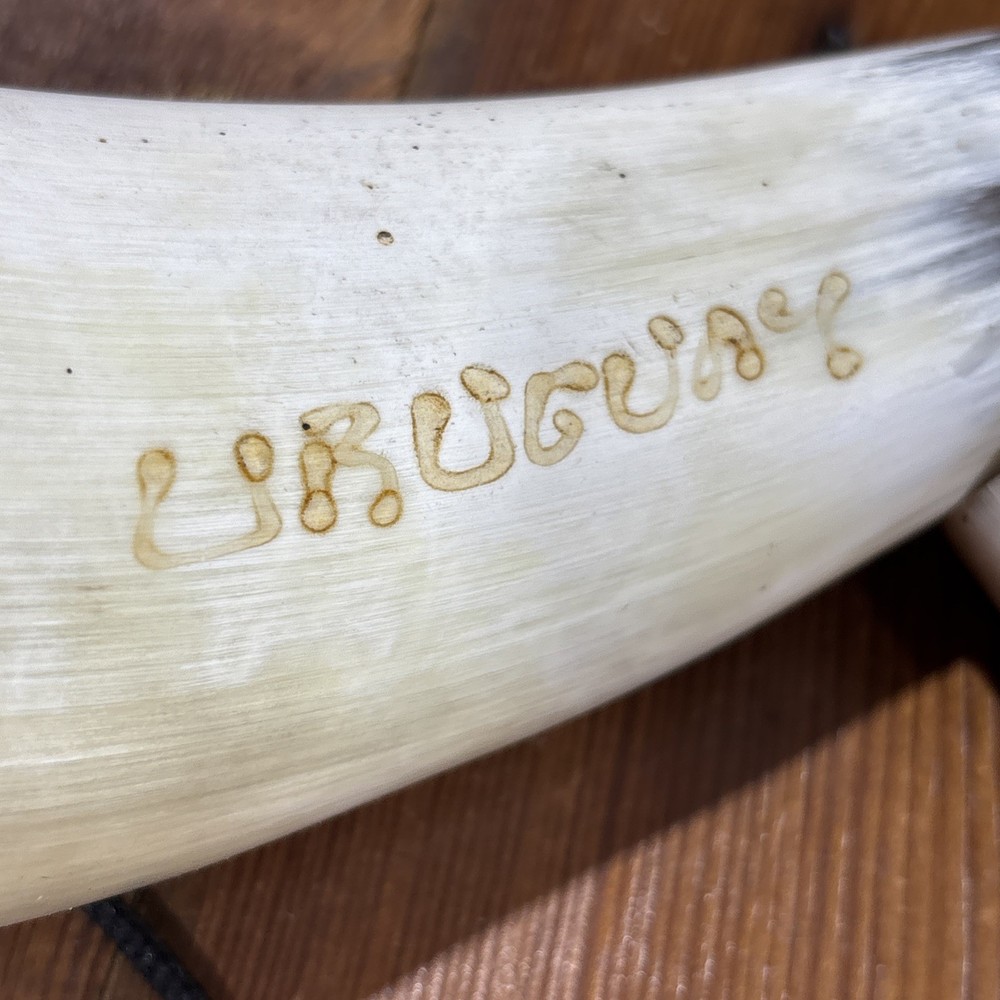 Hand Made Powder Horn ( URUGUAY )