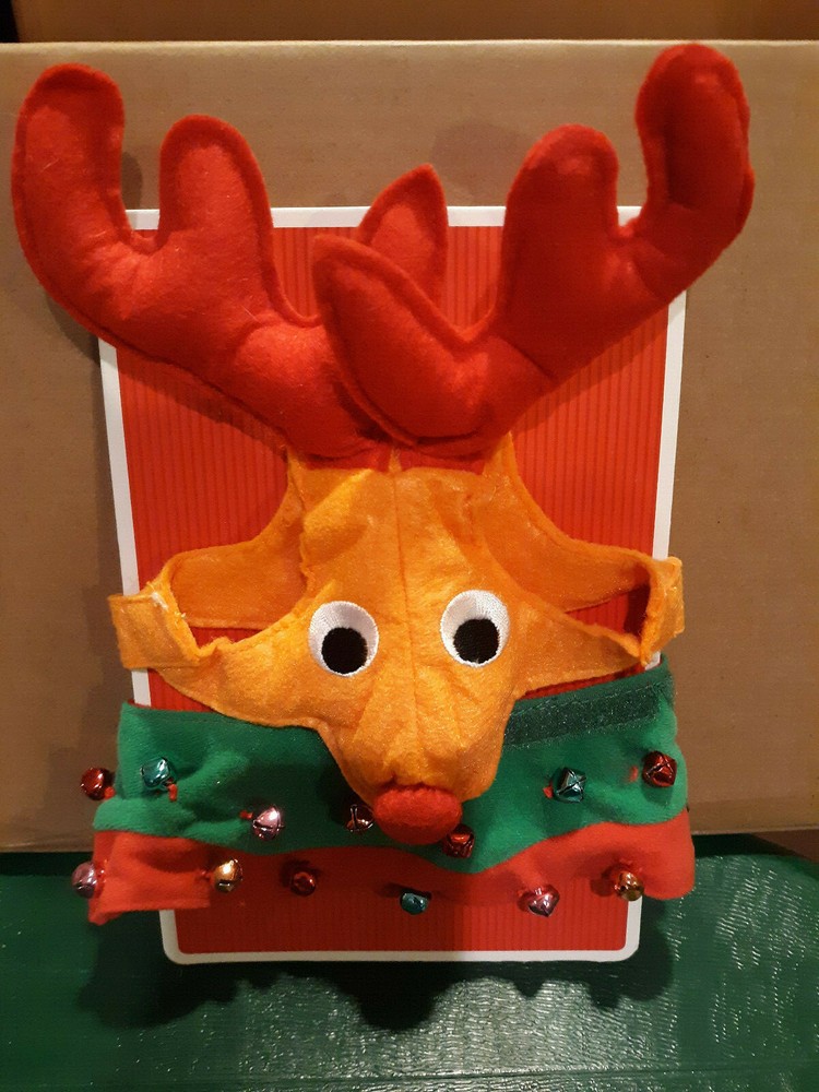 New Reindeer Hat & Collar for Cats
