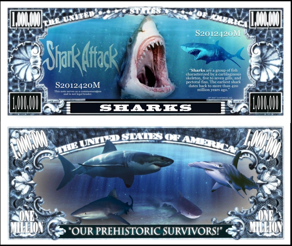 OUR SHARKS NOVELTY NOTES (25 EA)