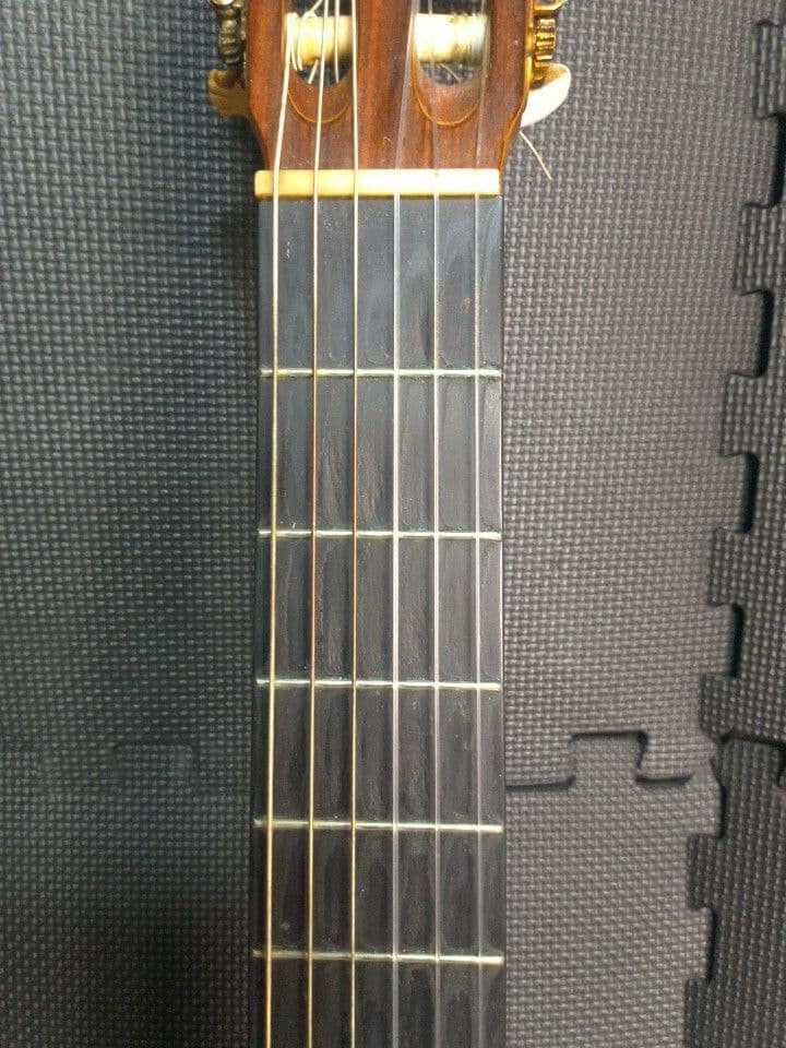 Takamine No.5 Classical Guitar with Hard Case