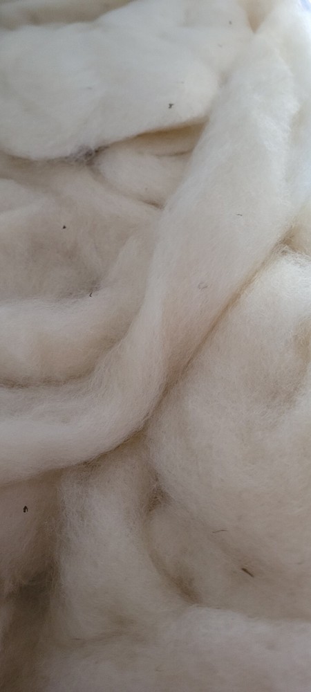 Romney wool roving (white) 8 oz