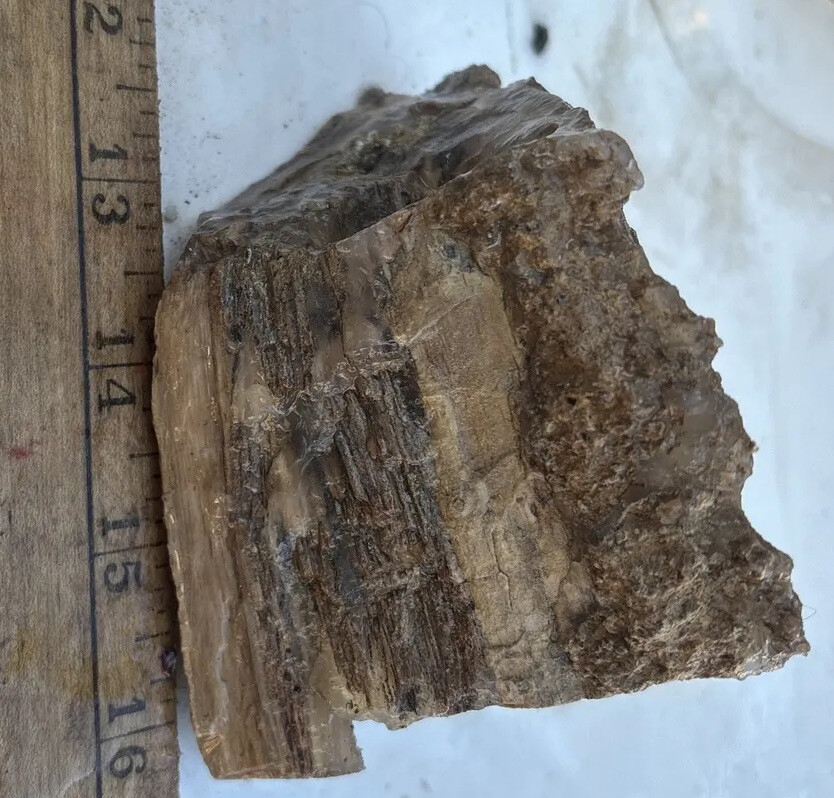 Eden Valley Palmwood