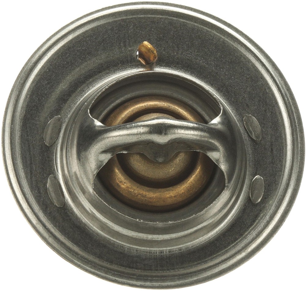 33489 Thermostat