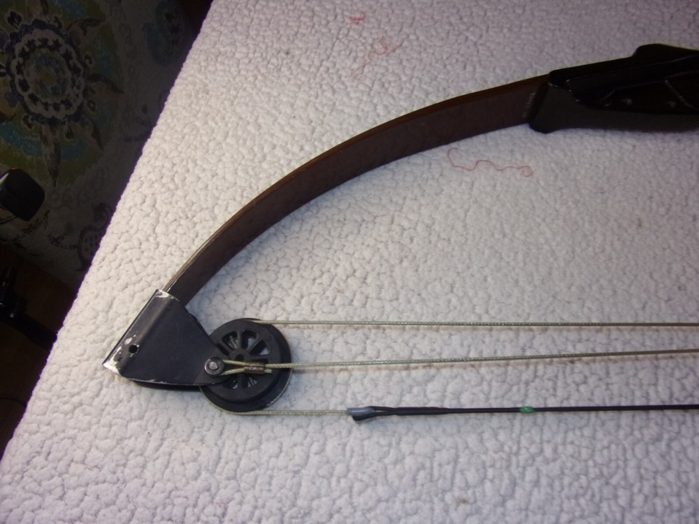 Bear Blacktail Hunter Compound