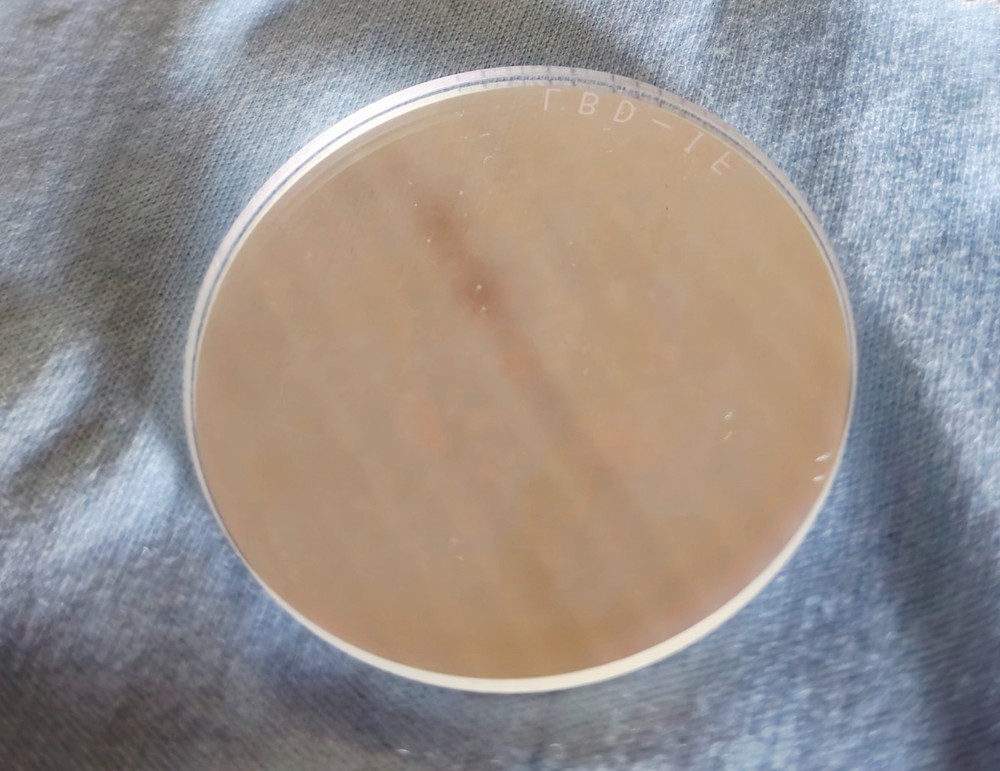 Olympus BX40 Upright Laboratory Microscope with Digital Camera