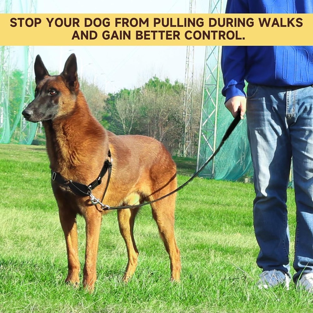 No Pull Dog Harness with Dog Leash, Easy to Control Walking Harness (Medium)