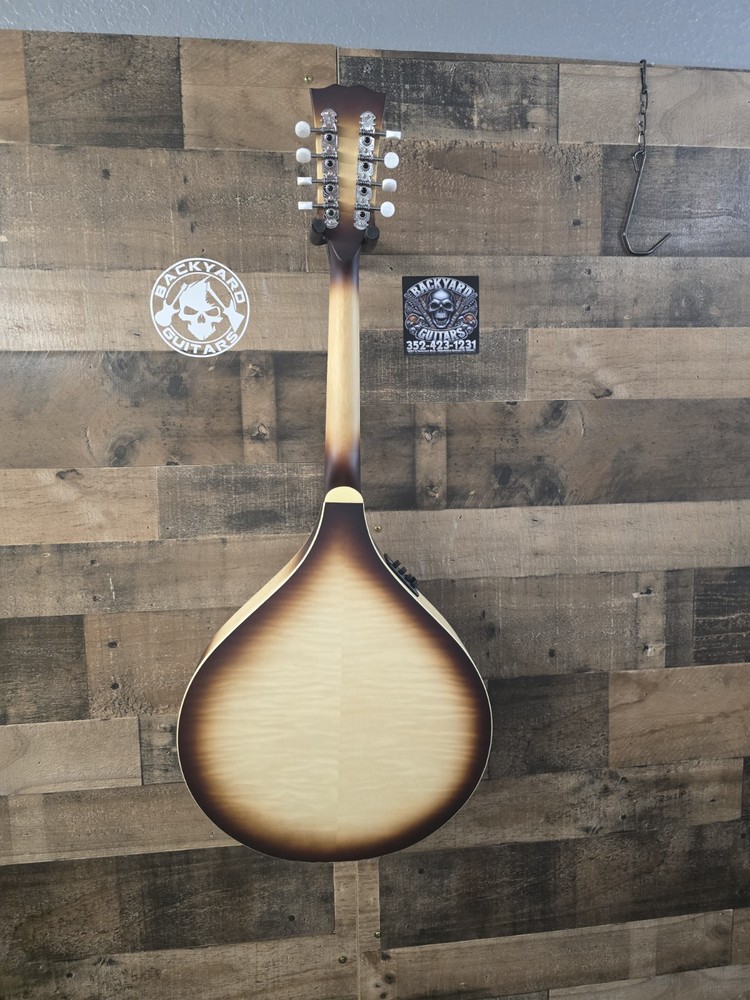 Mcneela ElectroMandolin Clean