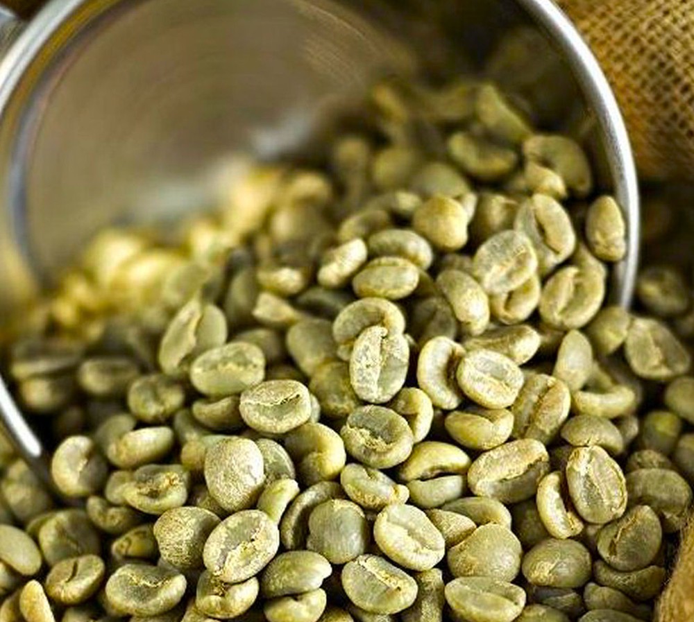 4 lbs Green Coffee Bean Sample Pack - 8 one-half pound coffee samples