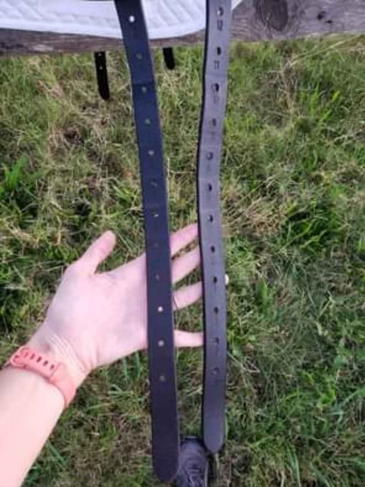 Frank Baines Omni Dressage 17.5, Medium Tree