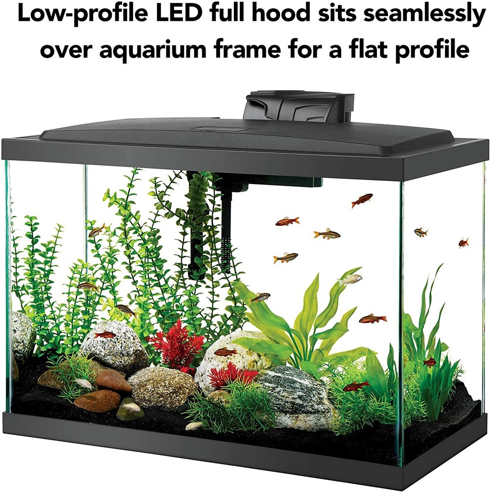 Aqueon Aquarium Starter Kit with LED Lighting (20 gal)