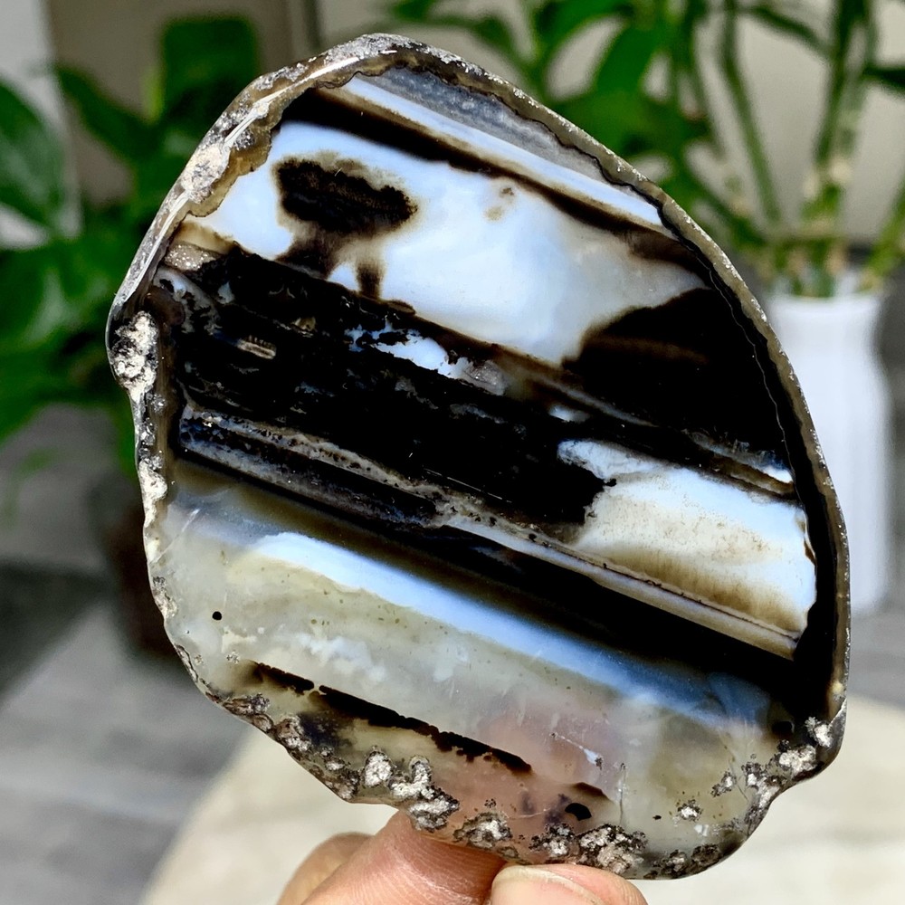 44G Natural Beautiful Agate Geode Druzy Slice Extra Large Gemstone
