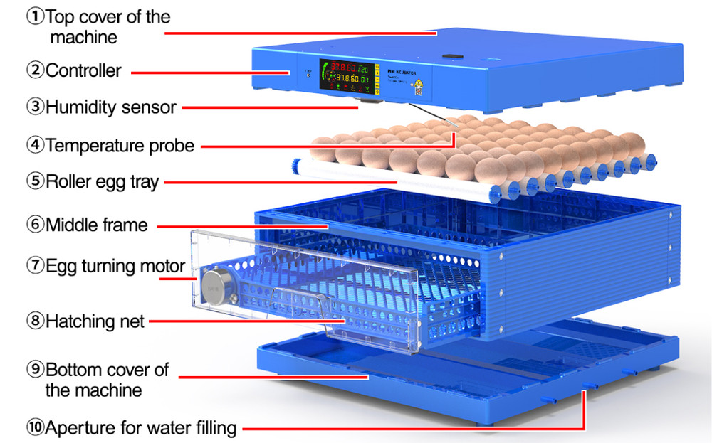 Incubator Drawer Single Layer Temperature Humidity Digital Display 64 Eggs 110V