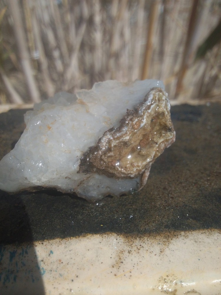 Quartz Crystal Specimen With Host Attached Collect Display