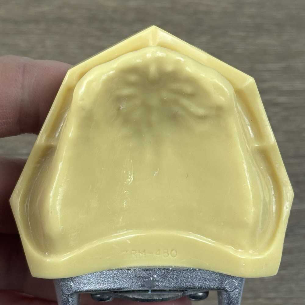 Kilgore Nissin TRM-480 Typodont Edentulous Partial Denture Model Practice