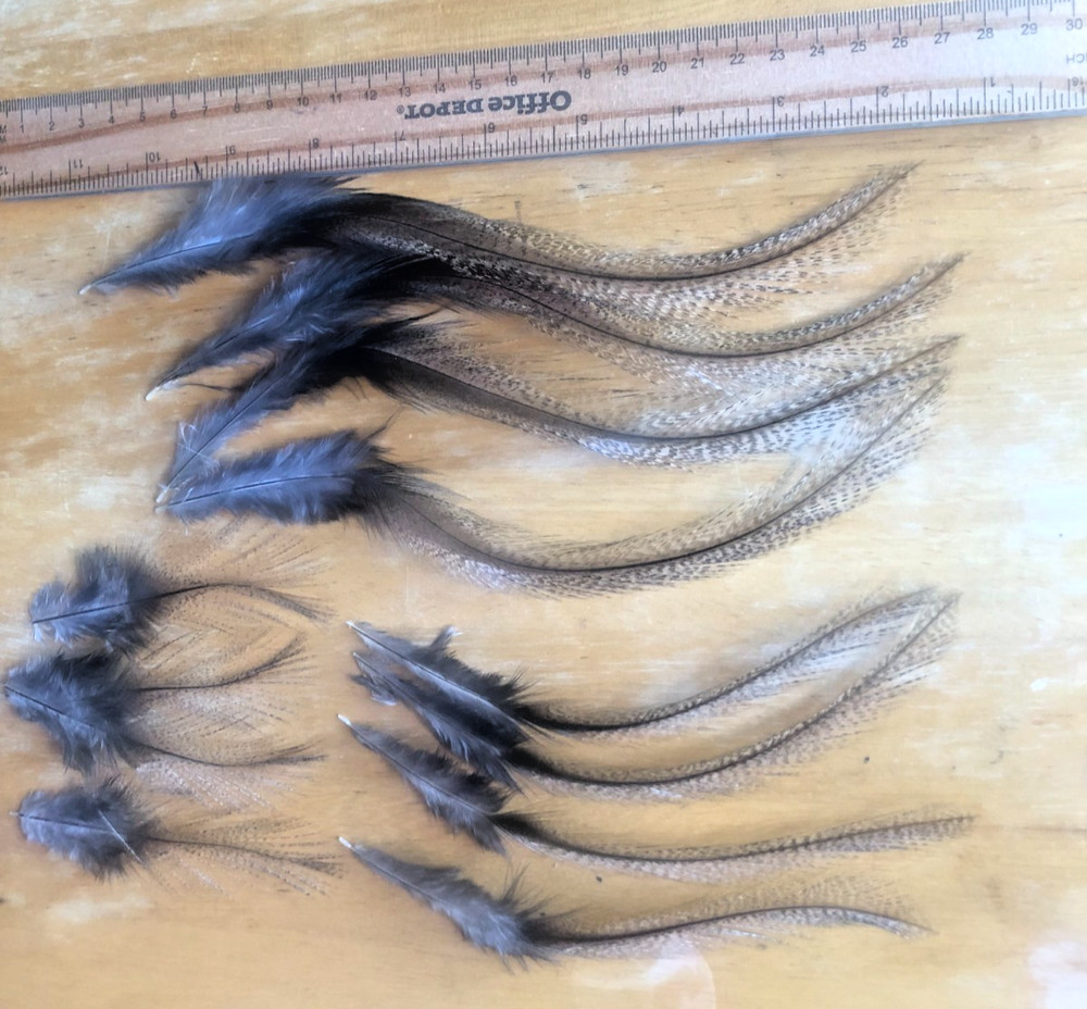 COQ DE LEON SADDLE FEATHERS - Ginger Pardo - 12 Per Pack -- NEW!