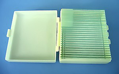 MICROSCOPE SLIDE ASSORTMENT W/ STORAGE CASE