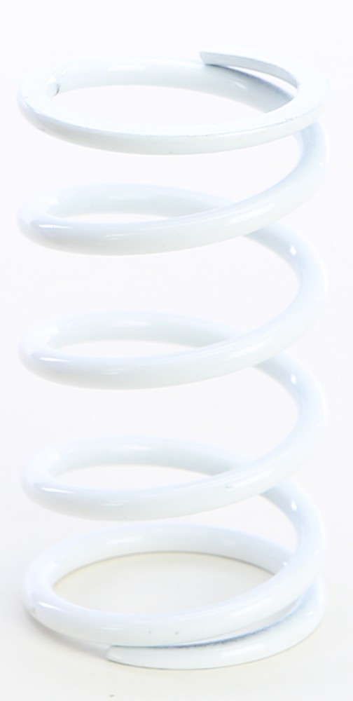 Primary Clutch Spring - Style: Clutch Springs