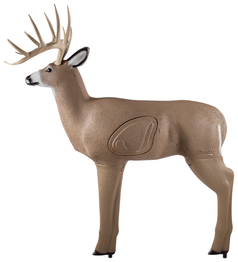 Shooter Crossbow Shooter Buck Archery Target