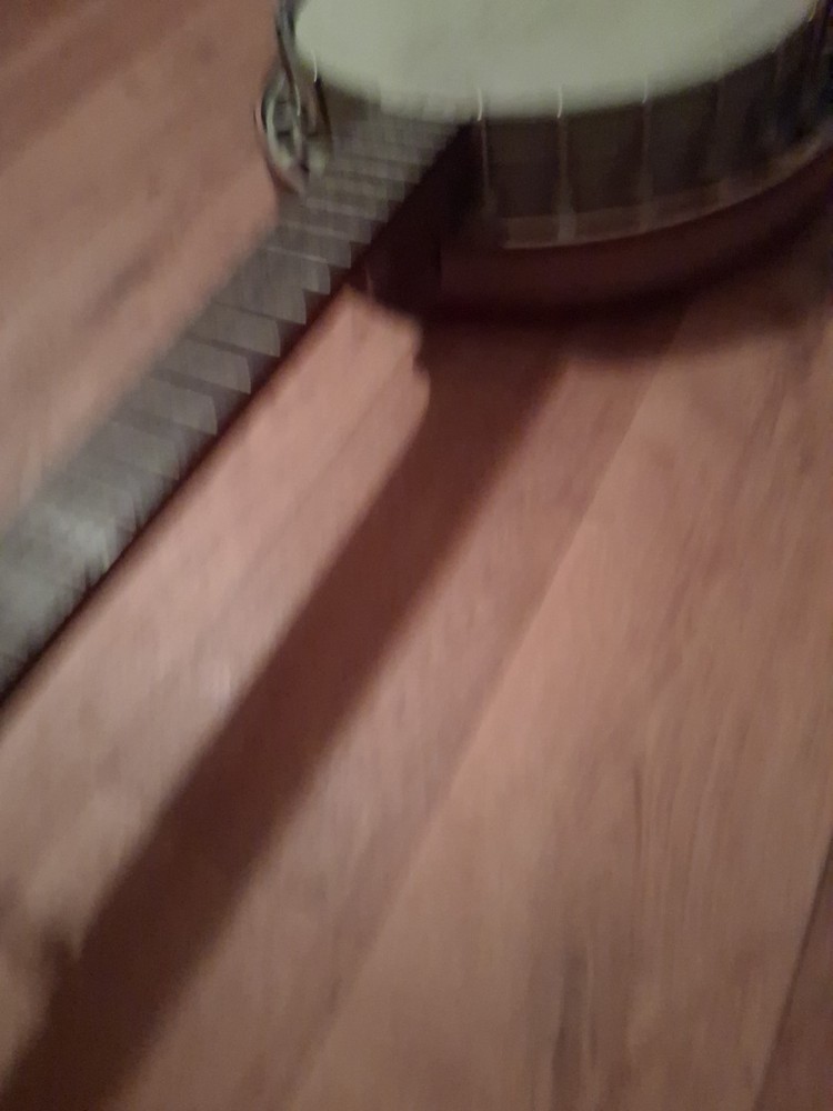 Cool Vintage Eagle 5 String Resonator Banjo