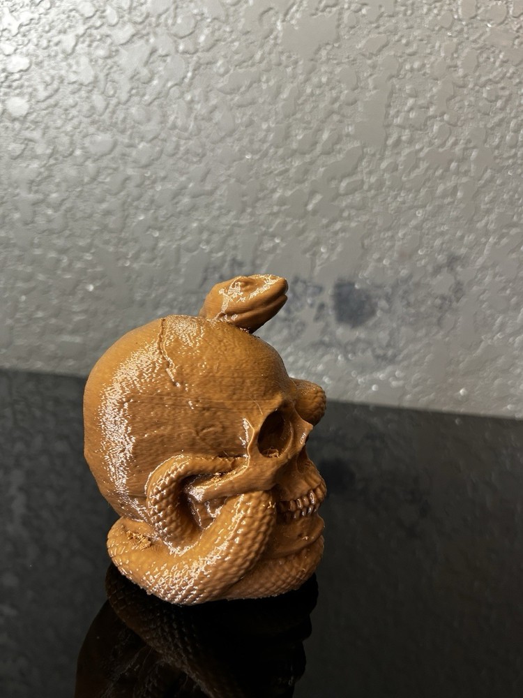 A 3D Printed Skull with Snake Crawling Through It brown