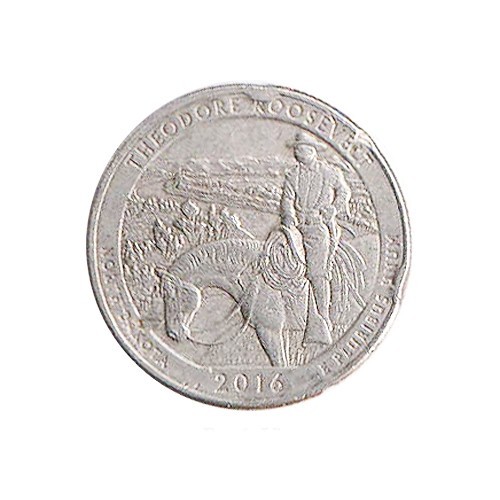 USA Quarter Dollar Coin _ Issue 2016