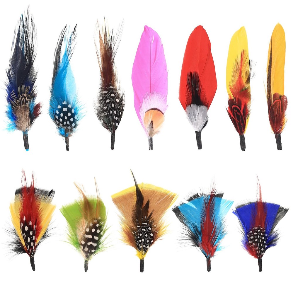 Hat Feathers, 12 Pcs Natural Mixed Assorted Cowboy Hats Colorful