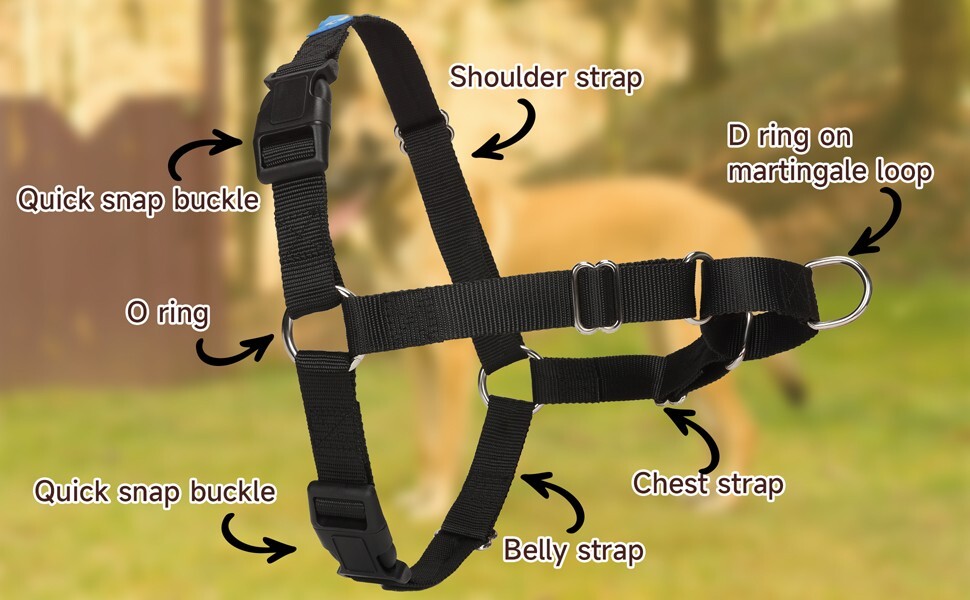 No Pull Dog Harness with Dog Leash, Easy to Control Walking Harness (Medium)