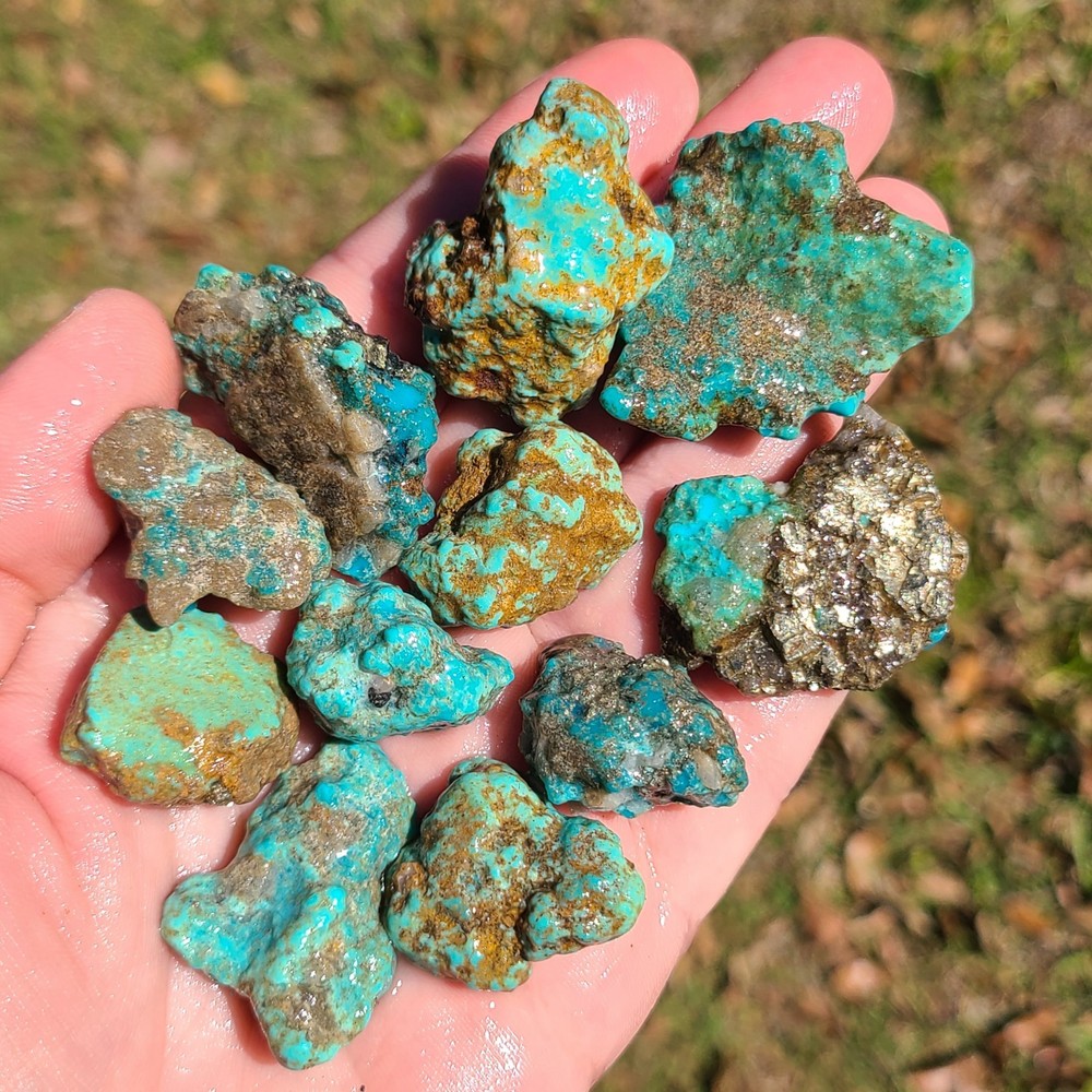 STABILIZED CAMPITOS TURQUOISE ROUGH MEXICO 118.9 GRAMS
