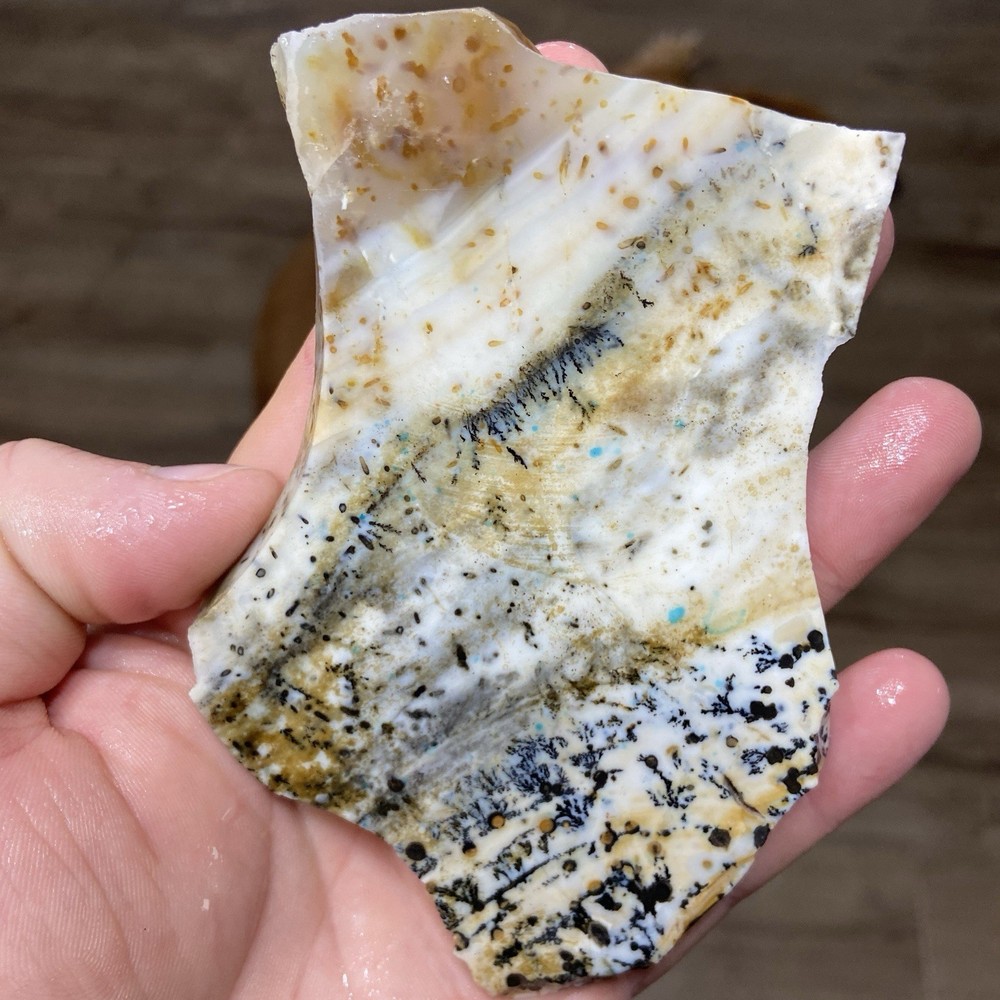 Dendrite Opal Rough Slab Unique Patterns 4.46 Oz