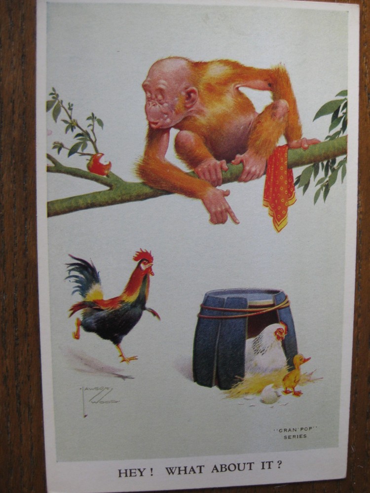 Gran Pop: Hey! What about It?