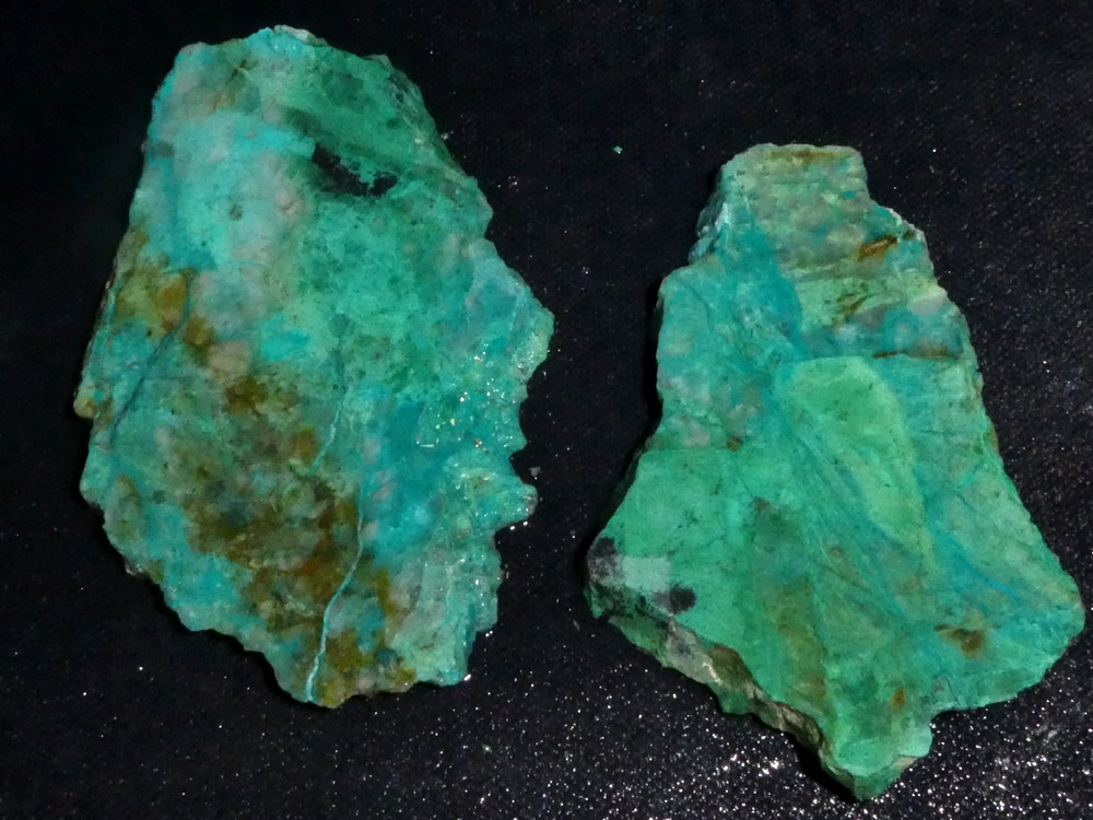Chrysocolla -2 small pieces- rough-cabbing--display- science