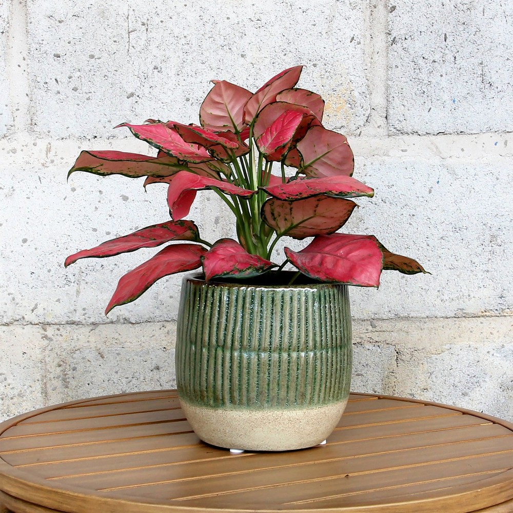6" Green Sable Planter Elegant Green Ceramic Pot