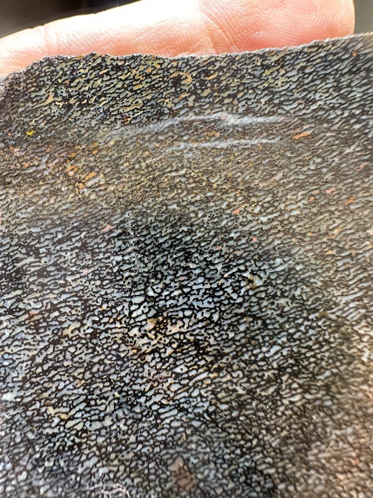 Dinosaur bone rough **hxtled slab.