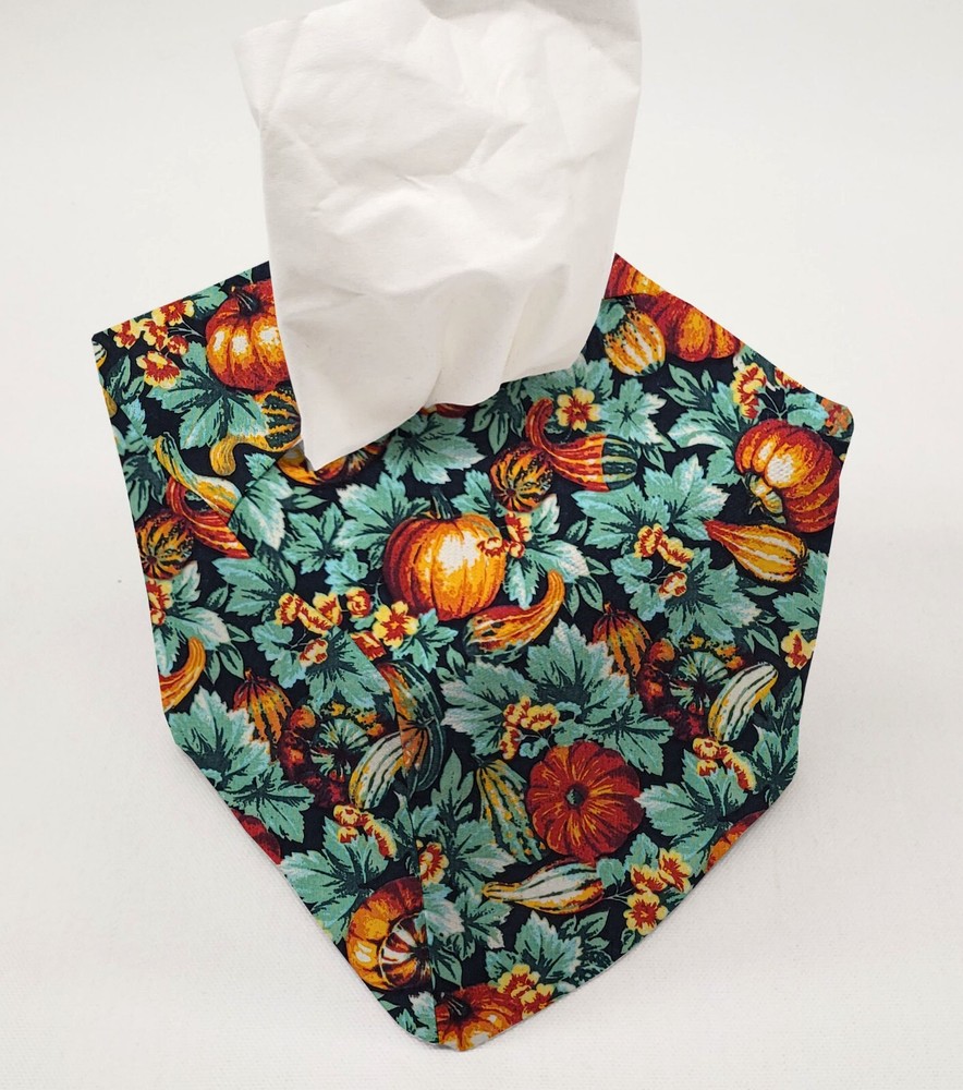 Pumpkins & Gourds Tissue Box Cover (2 Patterns Available)