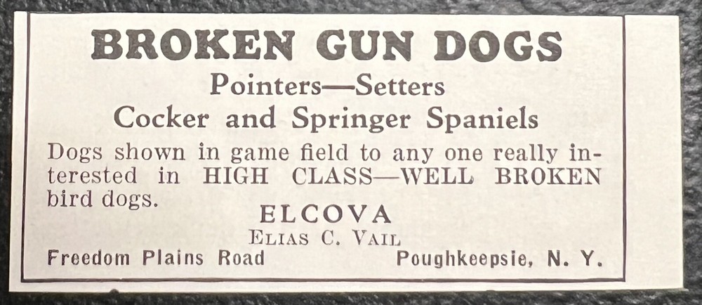 Poughkeepsie NY Pointers Setters Elcova 1934 Advertising Print