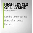 L Lysine Powder for Cats Immune Support