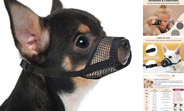 Dog Muzzle, Soft Mesh Muzzles for Small Medium Large Black XXS-Snout (4”-5”)