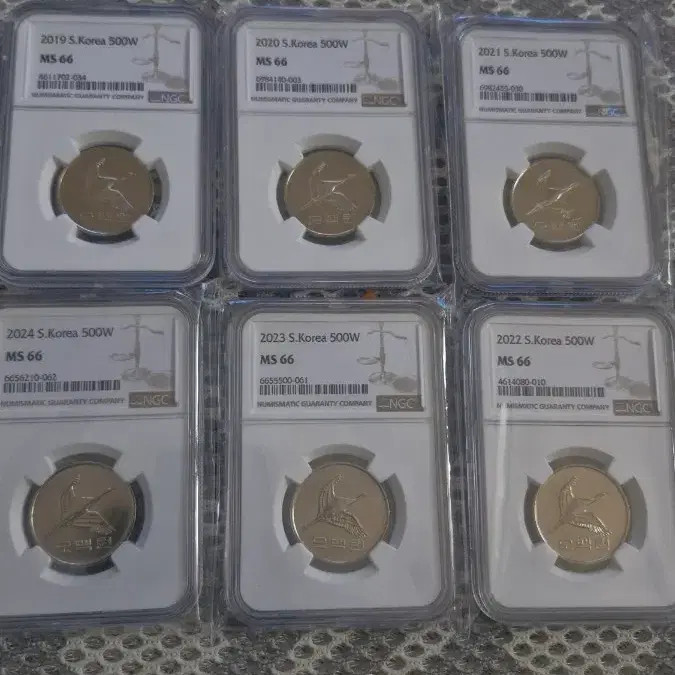 2019-2024 500 Weeks 66 Grade Commemorative Coins Set