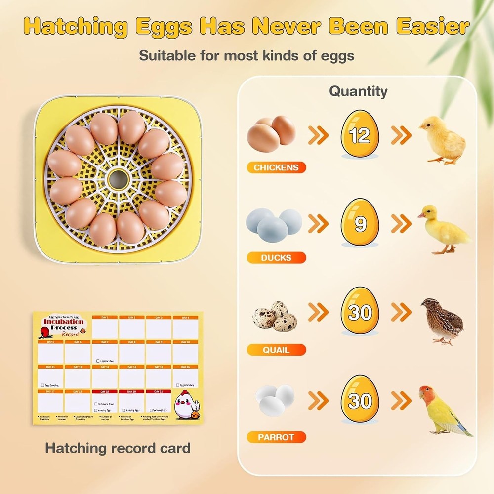 12 Egg Incubator for Hatching Eggs with Automatic Water Refill Humidity Display-