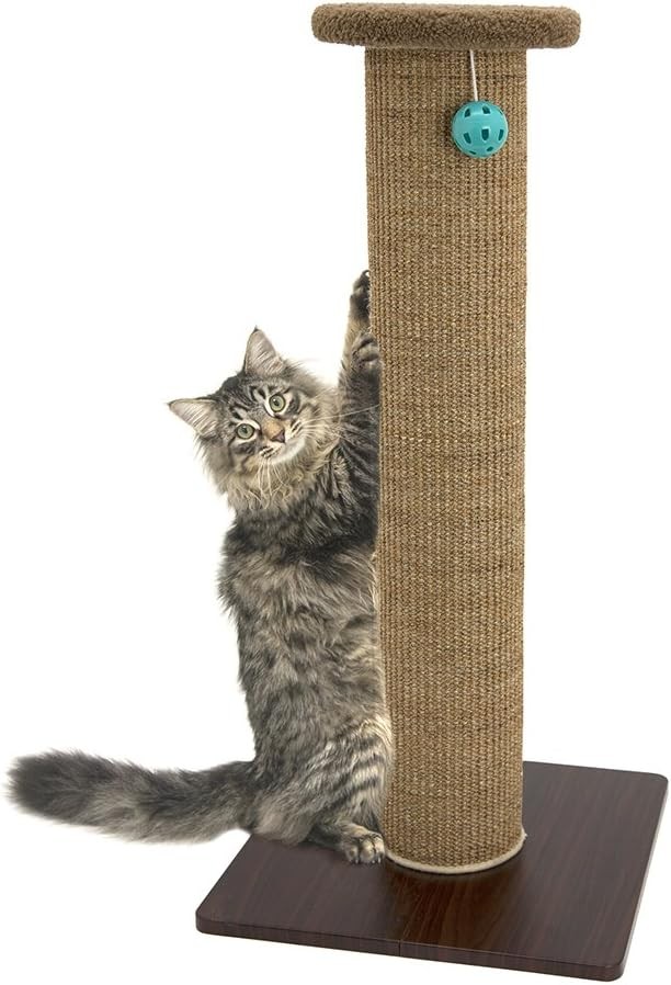 Sisal Post Scratcher Perch Platform Attachment Accessory Perch Platform Only)