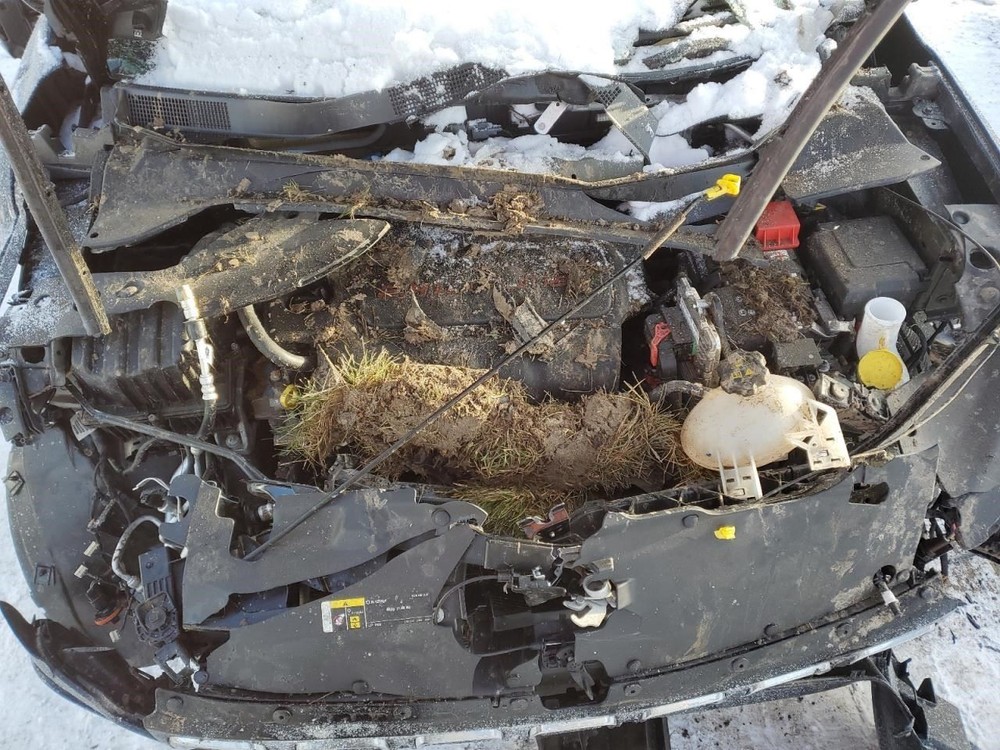 Engine ECM Electronic Control Module Fits 22 COMPASS 1247457