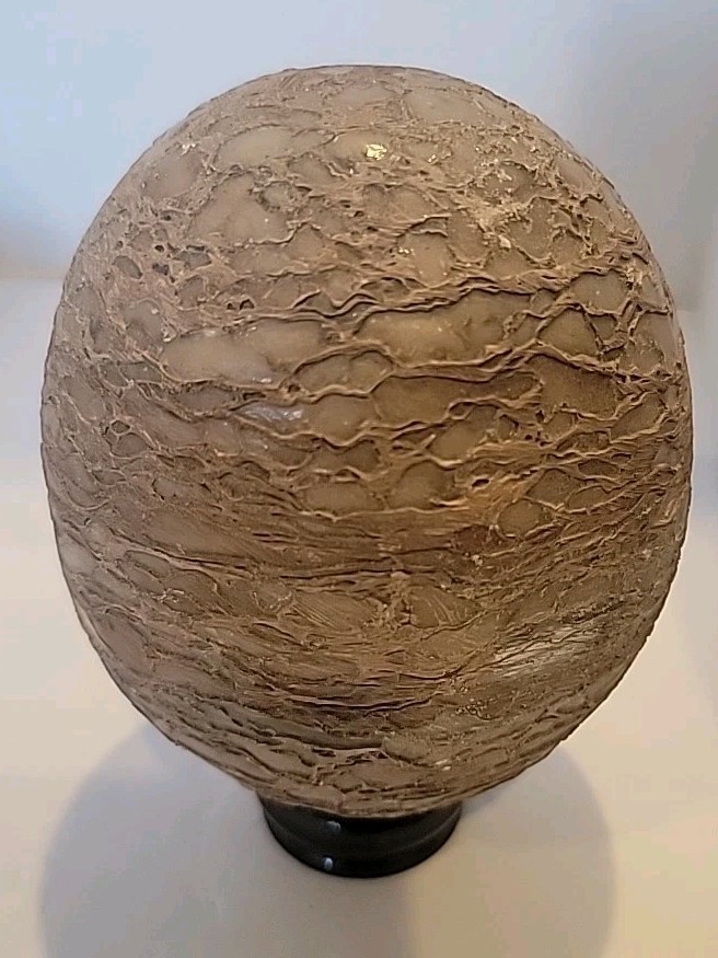 Dinosaur Egg Fossilized Crystallized Fossil  VV2