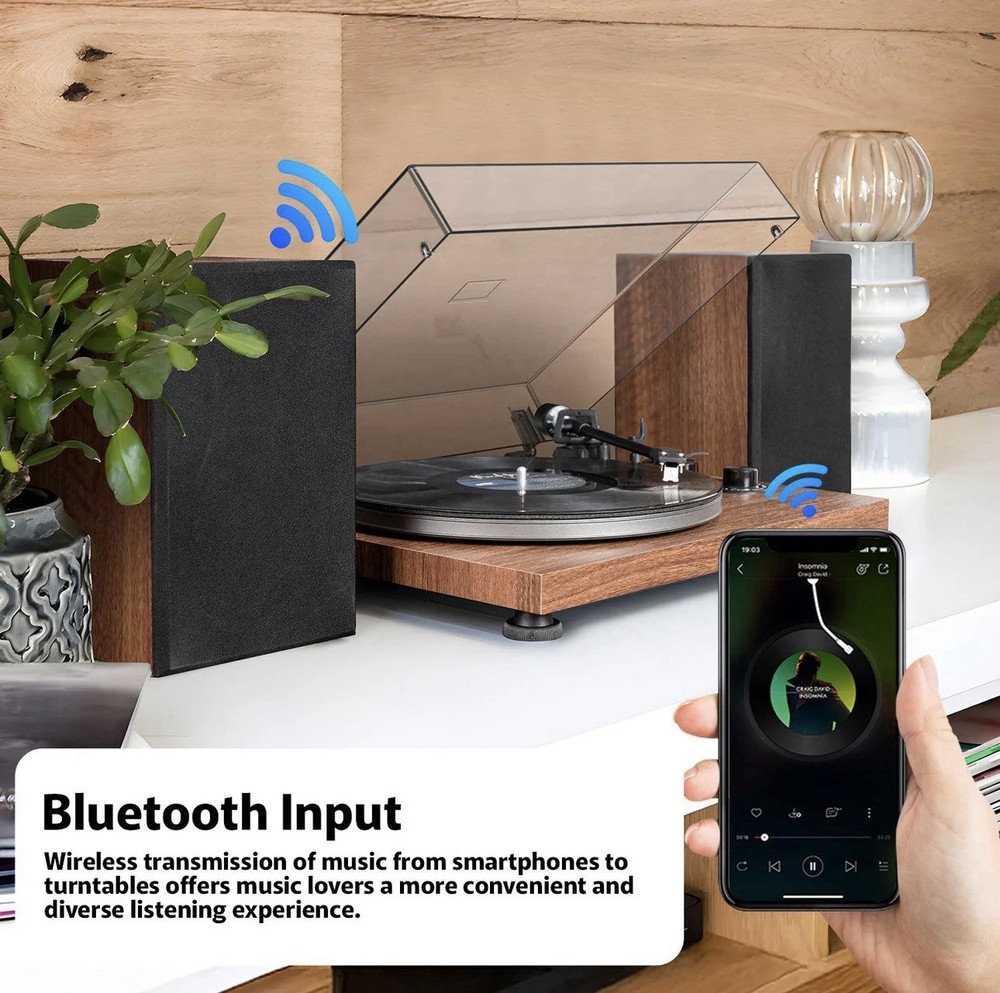 Udreamer UD006 TURNTABLE SYSTEM