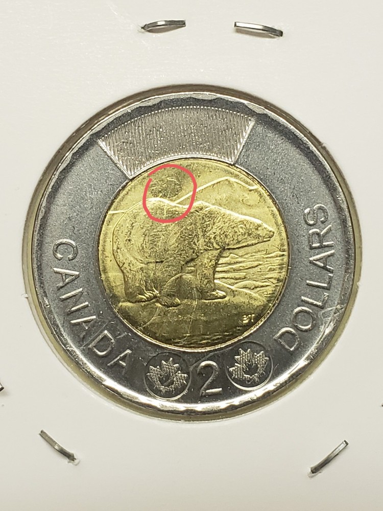 *Error* Canada 2025 Regular Bear Proof Like Toonie Strike Through Error.