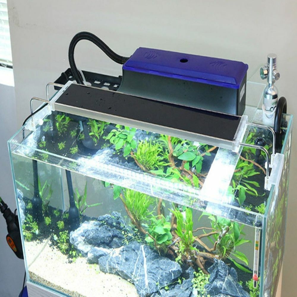 New Aquarium External Filter Box Pump Fish Tank Water Box For Circulation System